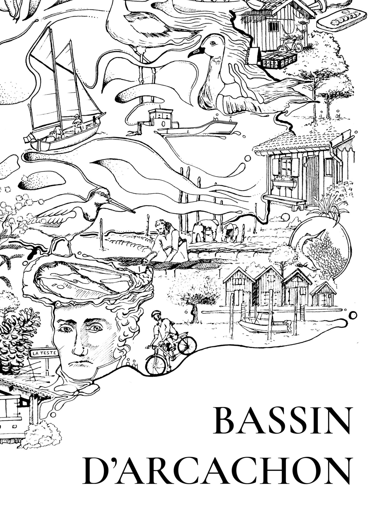 Carte - Bassin d'Arcachon